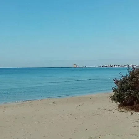 Bilo Max Torre Lapillo